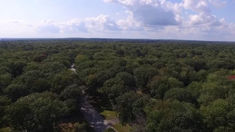 Forest 360 from Above Video stock 97142244