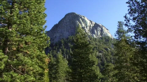 The Forest 41 - HD Stock Footage 133993