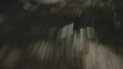 FOREST 7 Stock Footage 306409295