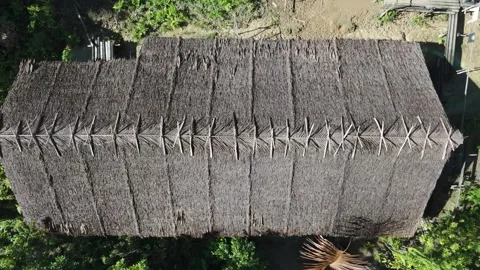 FOREST 73 Stock-Footage 297735587