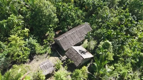 FOREST 76 Stock Footage 297735758