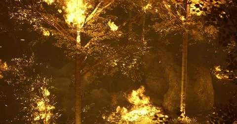 Forest ablaze at night with flames consuming trees and foliage Stock Illustration