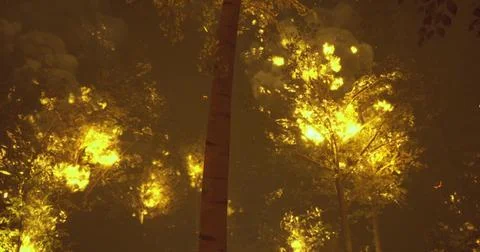 Forest ablaze in vibrant flames during an intense wildfire event at night Stock Illustration