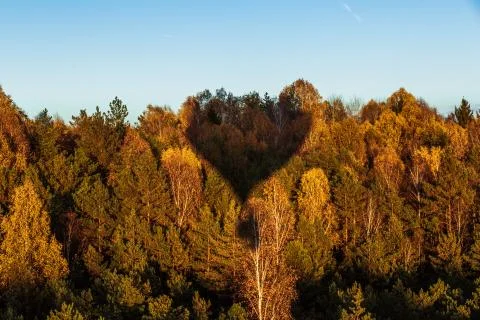 Forest from above with balloon shadow Stock Photos