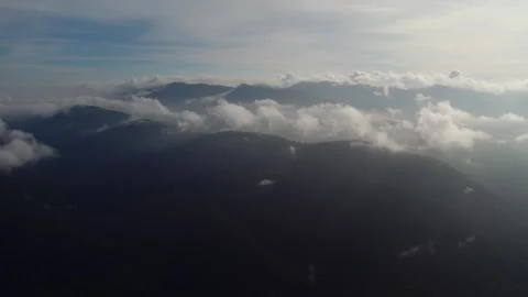 Forest above the clouds A cloud forest or fog forest is a tropical Stock-Footage 242472967