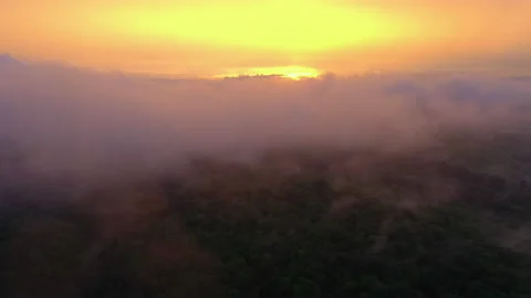 Forest From Above. Fabulous Nature. Clouds Over The Forest. Aerial View. 스톡 동영상 134922983