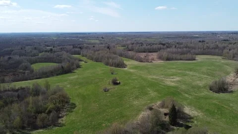 Forest from above Stock Footage 243675073