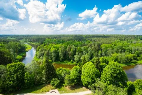 The Forest From Above Stock Photos