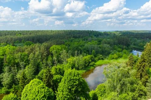 The Forest From Above Stock Photos