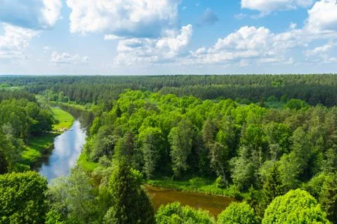 The Forest From Above Stock Photos
