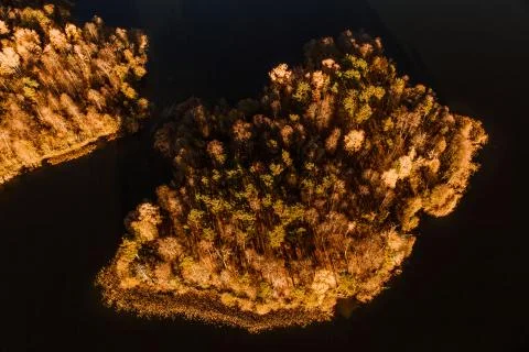 Forest from above Foto stock