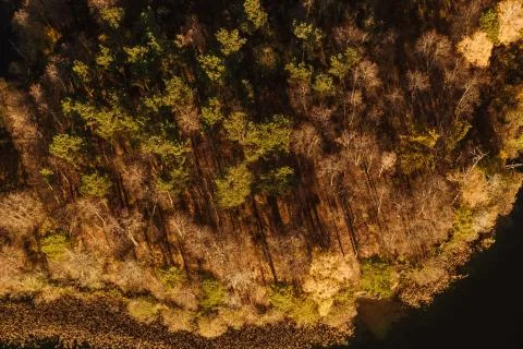 Forest from above Stock Photos