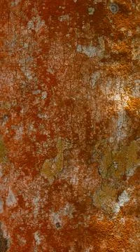Forest abstraction, pattern, lichen of orange color on tree Stock Photos