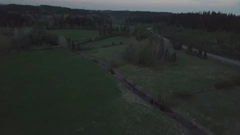 Forest abundance in Abkhazia. Stock Footage 149108308