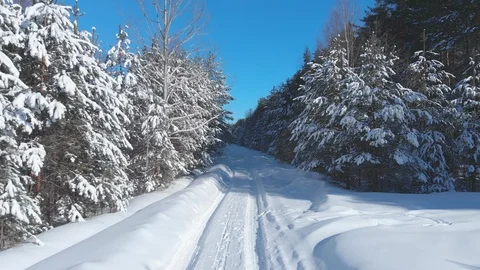 Forest Access Road and Forest under Heavy Snow in Russia Stock Footage 128850722