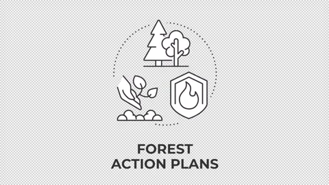 Forest action plans animated line concept icon Stock Footage 346715769