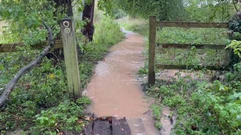 Forest Adventure on a Flooded Trail by a Rustic Stile Stock Footage 255865268