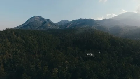 Forest Aerial Labirin Stock Footage 100381295