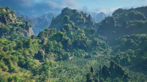Forest Aerial Shot Stock Footage 248557857
