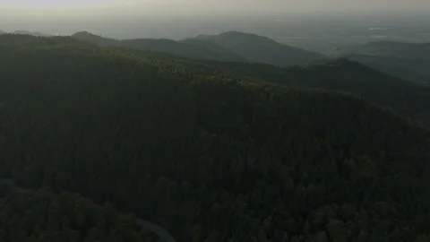 Forest Aerial Sunset Stock Footage 261314640