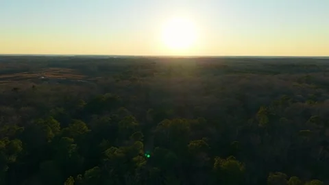 Forest Aerial At Sunset Stock Footage 330025205