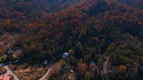 Forest Aerial View Stock-Footage 70465841