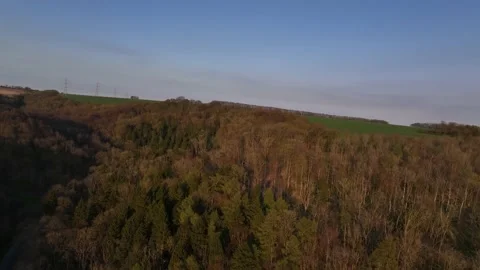 Forest aerial view Stock Footage 238646541