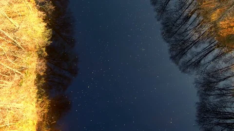 Forest aerial view. Red forest. Forest with a quadrocopter. Quadrocopter River Stock Footage 125614572
