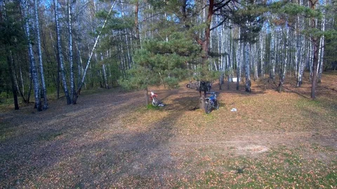 Forest aerial view. Red forest. Forest with a quadrocopter. Motorcycles in the Stock Footage 125616177