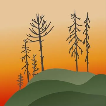 Forest after fire flames, nature disaster. Ashes Stock Illustration