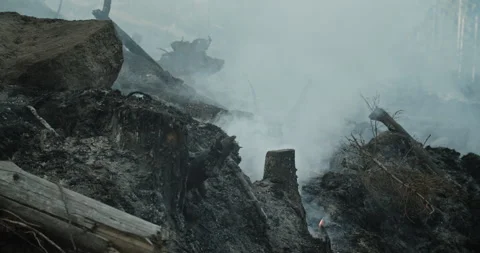 Forest after fire, smoke rising from ground, felled trees, rocks Stock Footage 269970925
