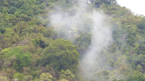 The forest after the rain has moisture like clouds that rise into the sky. Stock-Footage 107250036