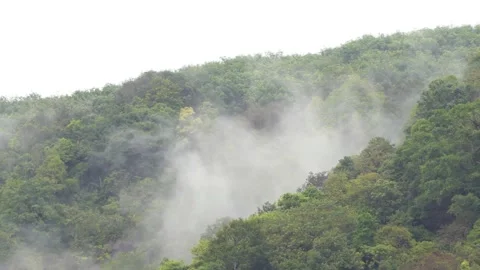 The forest after the rain has moisture like clouds that rise into the sky. Stock-Footage 107316312