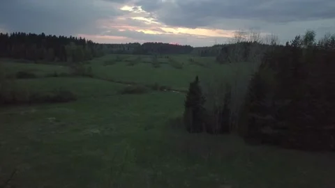 Forest against the background of a crimson sunset. Stock Footage 149108512