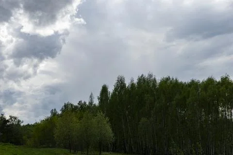 Forest against the background of large thundercloud Stock Photos