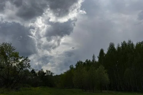 Forest against the background of large thundercloud Stock Photos