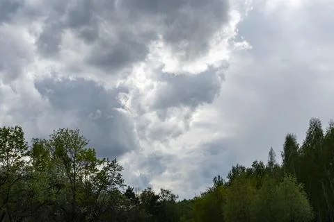 Forest against the background of large thundercloud Stock Photos