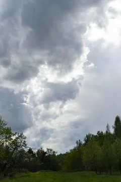 Forest against the background of large thundercloud Stock Photos