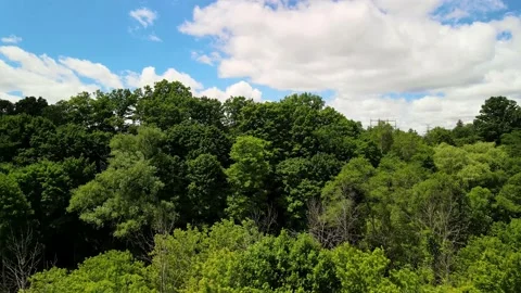 By the forest air view blue sky and clouds Stockbeeldmateriaal 133644473