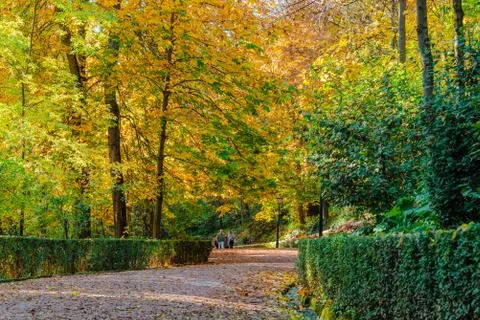 Forest of Alhambra Stock Photos