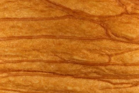 Forest Almond Nut Texture Surface. Macro Closeup. Natural Organic Background. Stock Photos