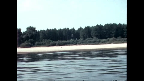 Forest along the Riverbank Stock Footage 278409977