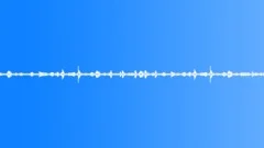 Forest alpine birds light wind 01 120 loop Sound Effect