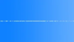 Forest alpine crickets 01 90 loop Sound Effect