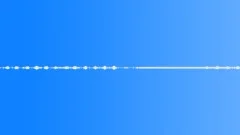Forest alpine light wind birds squirrels 01 120 loop Sound Effect