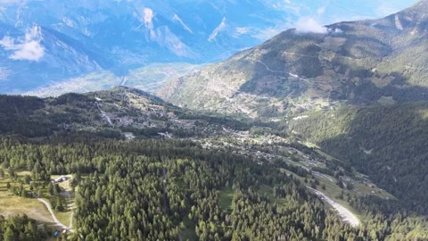 A forest in alpine valley Stock Footage 138880896