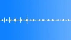 Forest ambience 01 120 loop Sound Effect