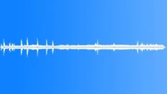 Forest Ambience 02 Sound Effect
