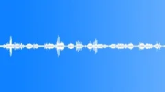 Forest Ambience 2 Birds Calm Meditation Sound Effect