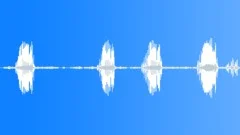 Forest Ambience Birds Calm Meditation Sound Effect